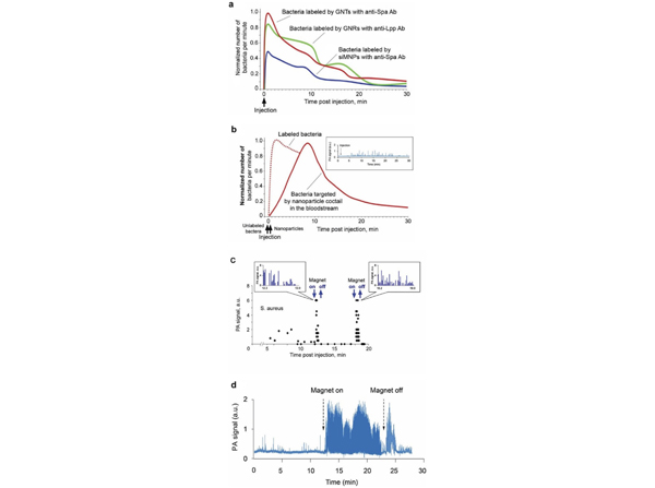 In vivo Protein A monitoring